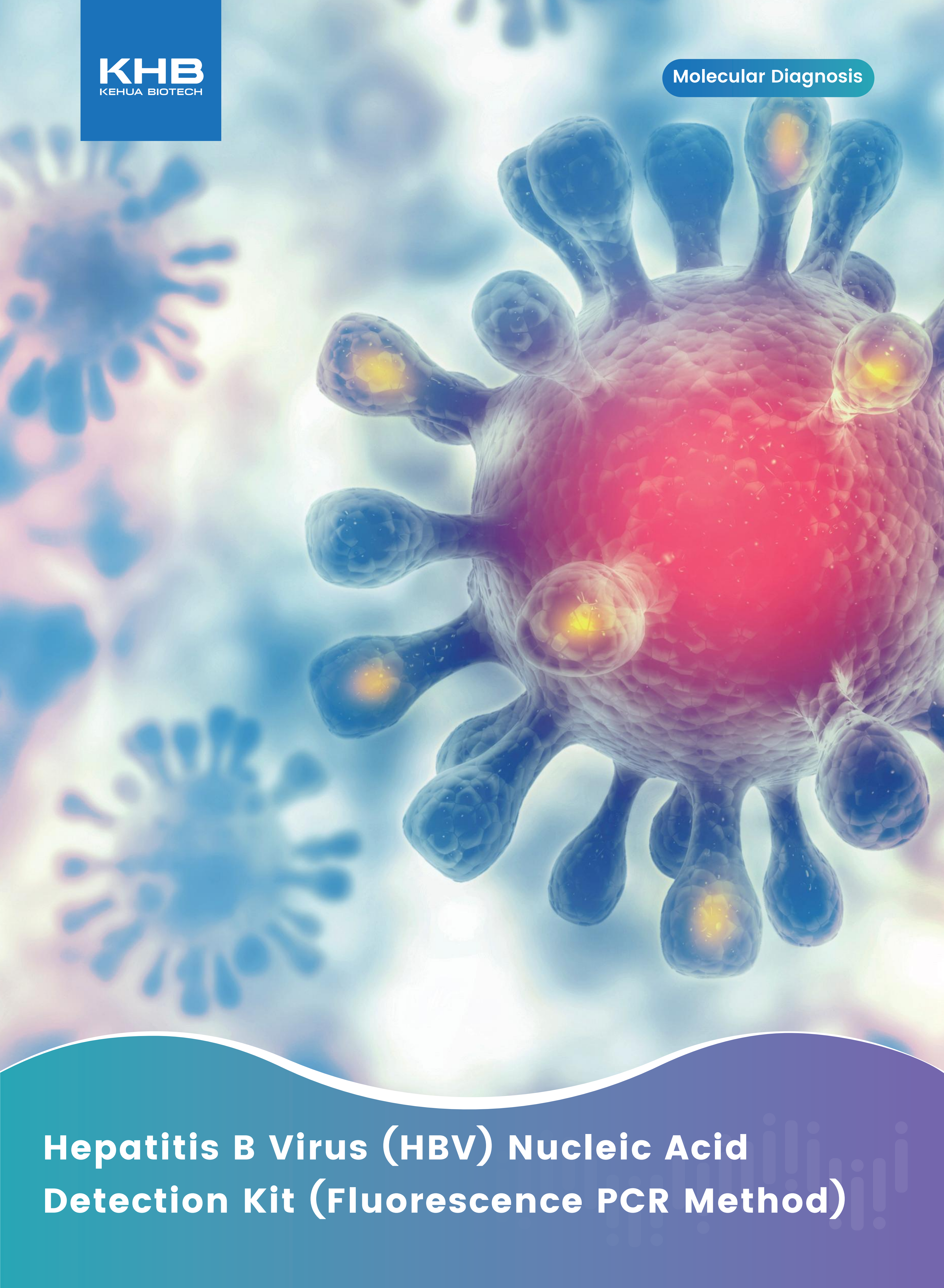 Hepatitis B Virus (HBV) Nucleic Acid Detection Kit (Fluorescence PCR Method) -V3-20260304_01.png
