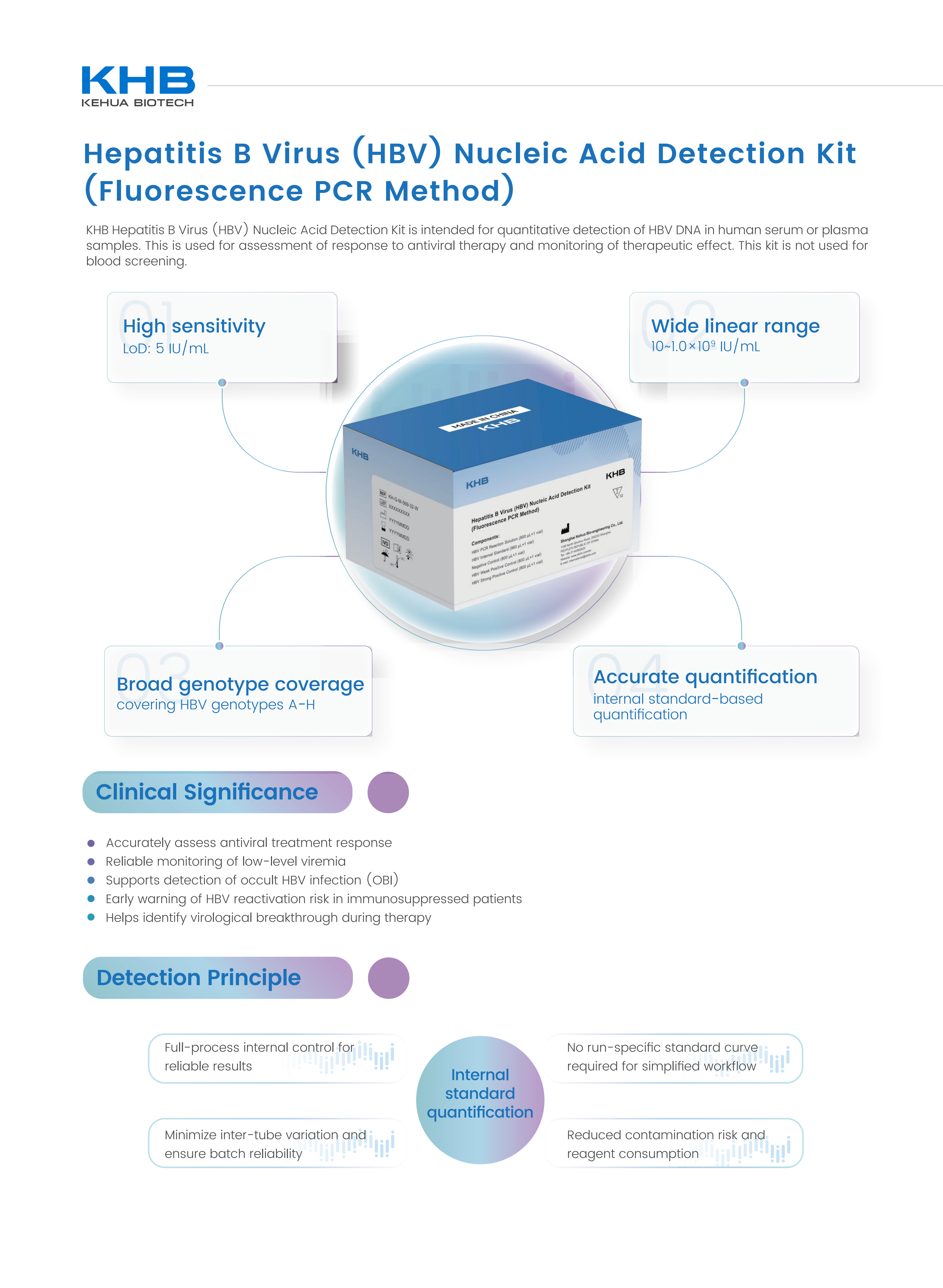 Hepatitis B Virus (HBV) Nucleic Acid Detection Kit (Fluorescence PCR Method) -V3-20260304_02.png