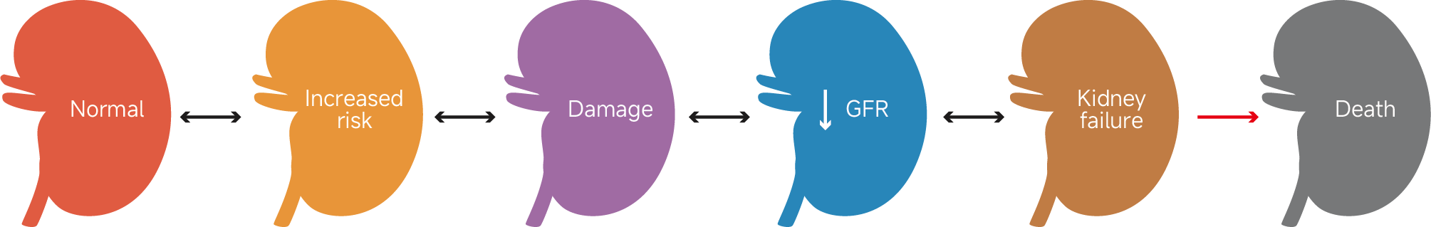 1.png 1.png